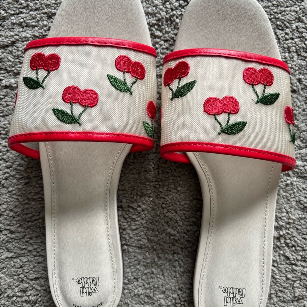 New Wild Fable Cherry Embroidered Sandals